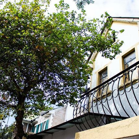 Hostal Loro Verde キト エクステリア 写真